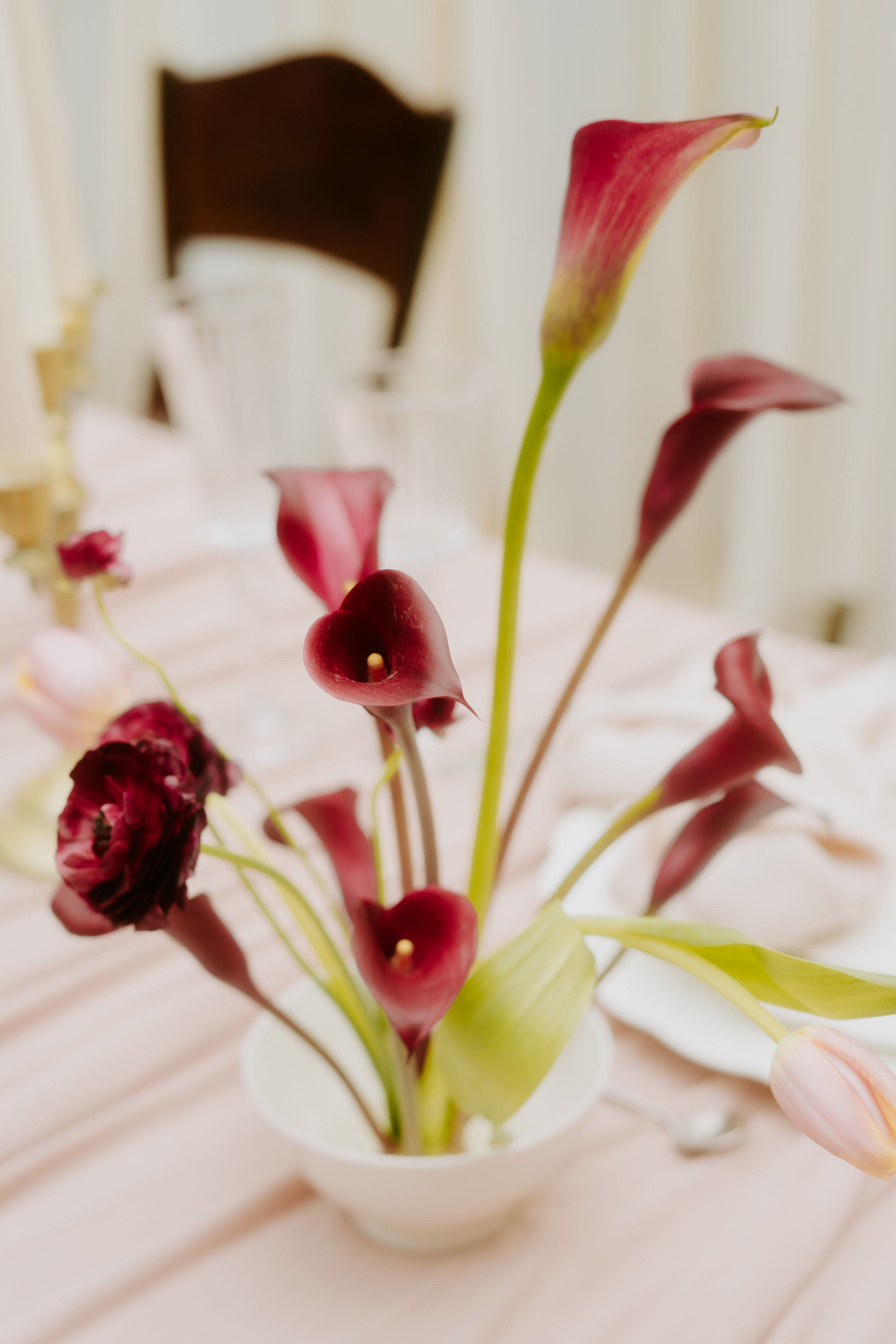 Editorial Floralveil — velo floral y luz natural