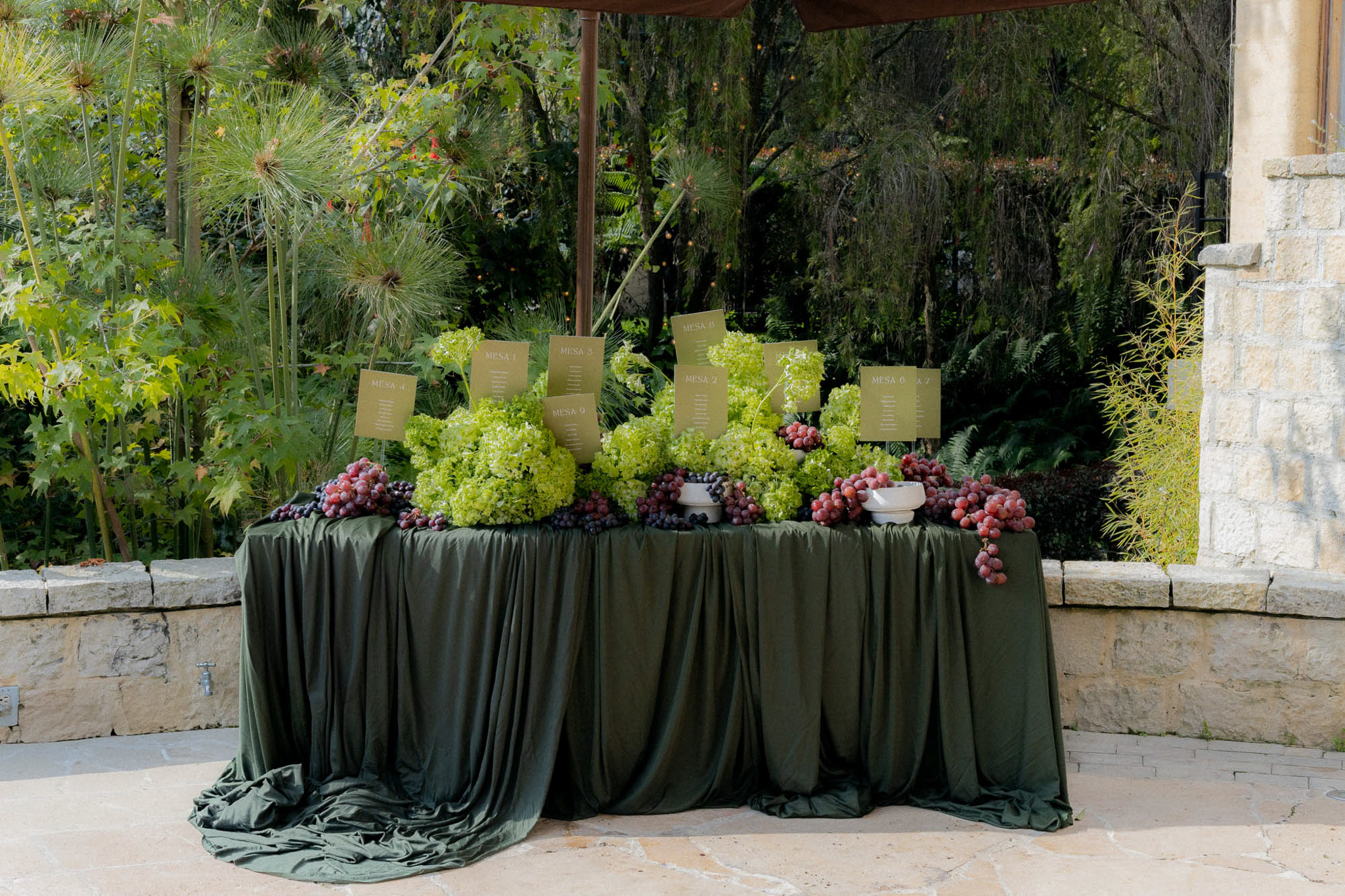 Mesa editorial con tela drapeada verde oliva, uvas y flores verdes