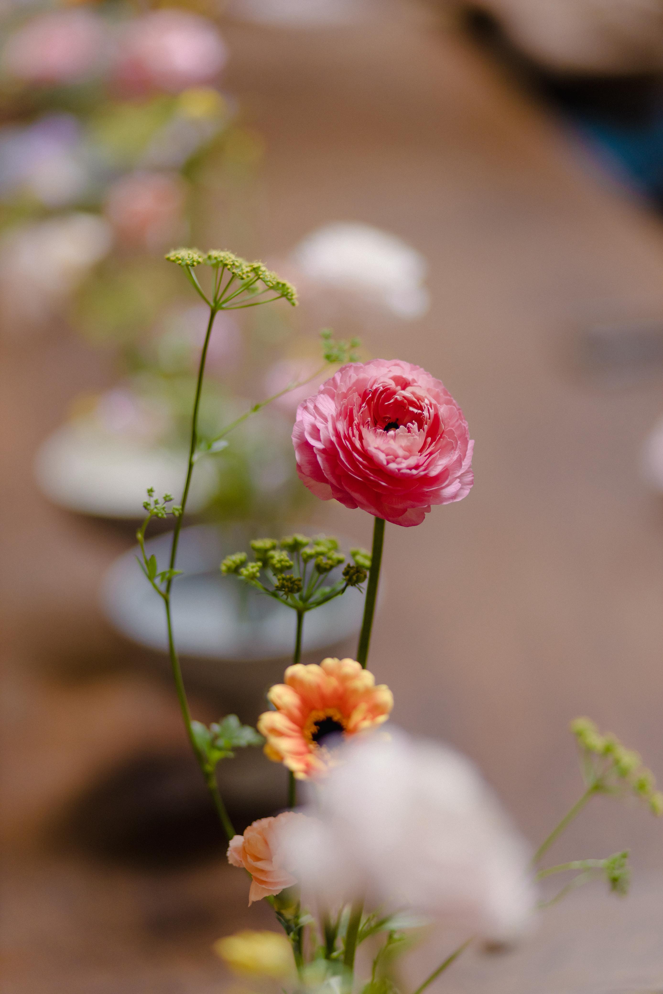 Curso floral avanzado en Colombia para formación privada y personalizada