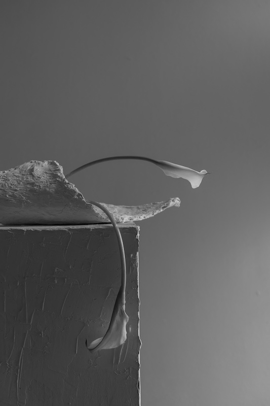 Registro editorial horizontal grande 00005