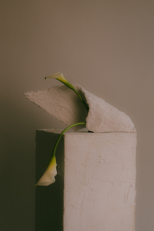 Registro editorial retrato 00006