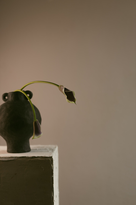 Registro editorial vertical prolongado 00008