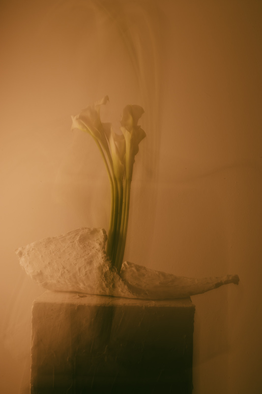 Registro editorial panorámico extendido 00009