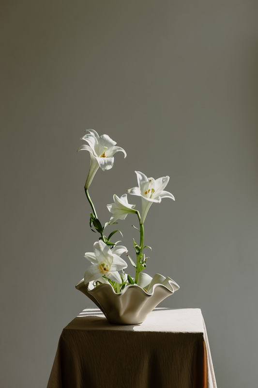 Registro editorial horizontal grande 00021