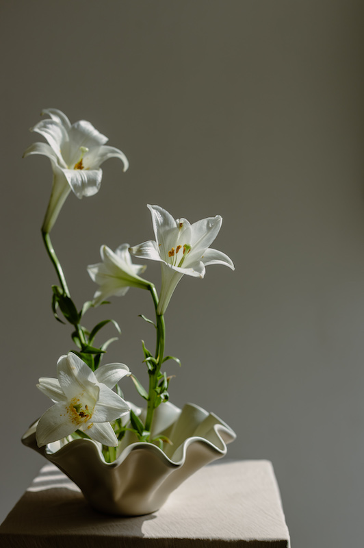 Registro editorial cuadrado 00022