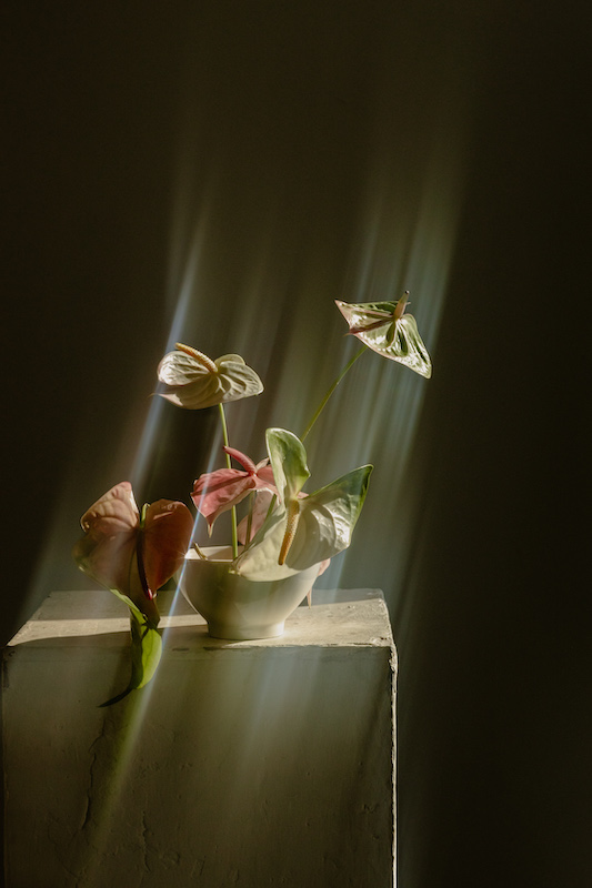 Registro editorial horizontal mediano 00024