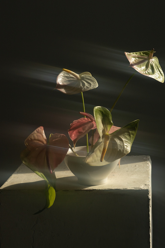 Registro editorial panorámico extendido 00025