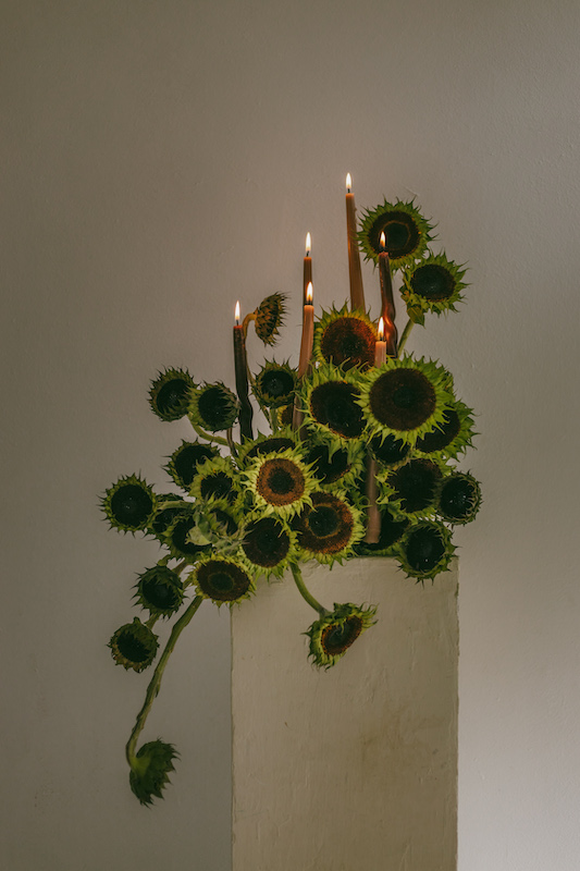 Registro editorial retrato 00029