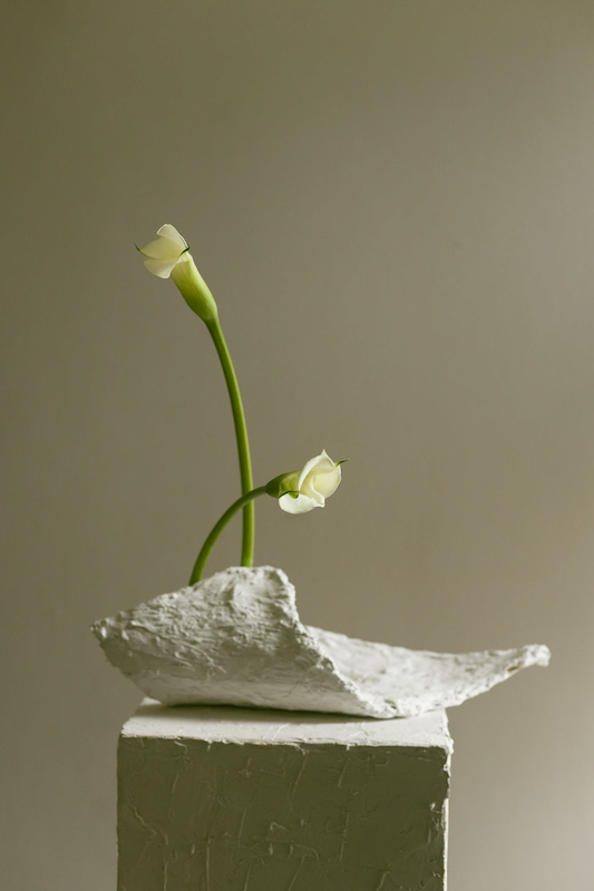 Registro editorial horizontal mediano 00036