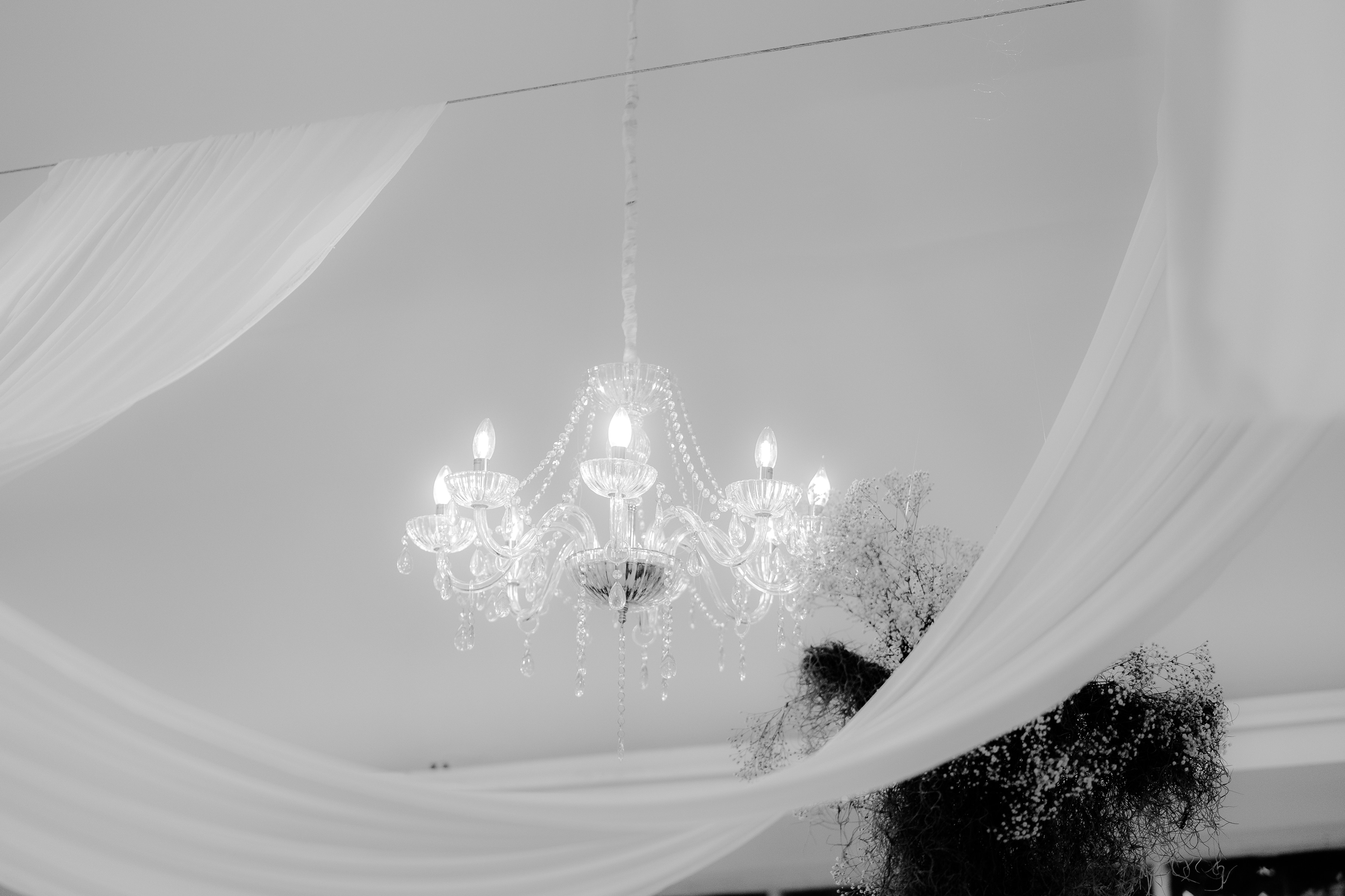 Javier & Paola — foto 30