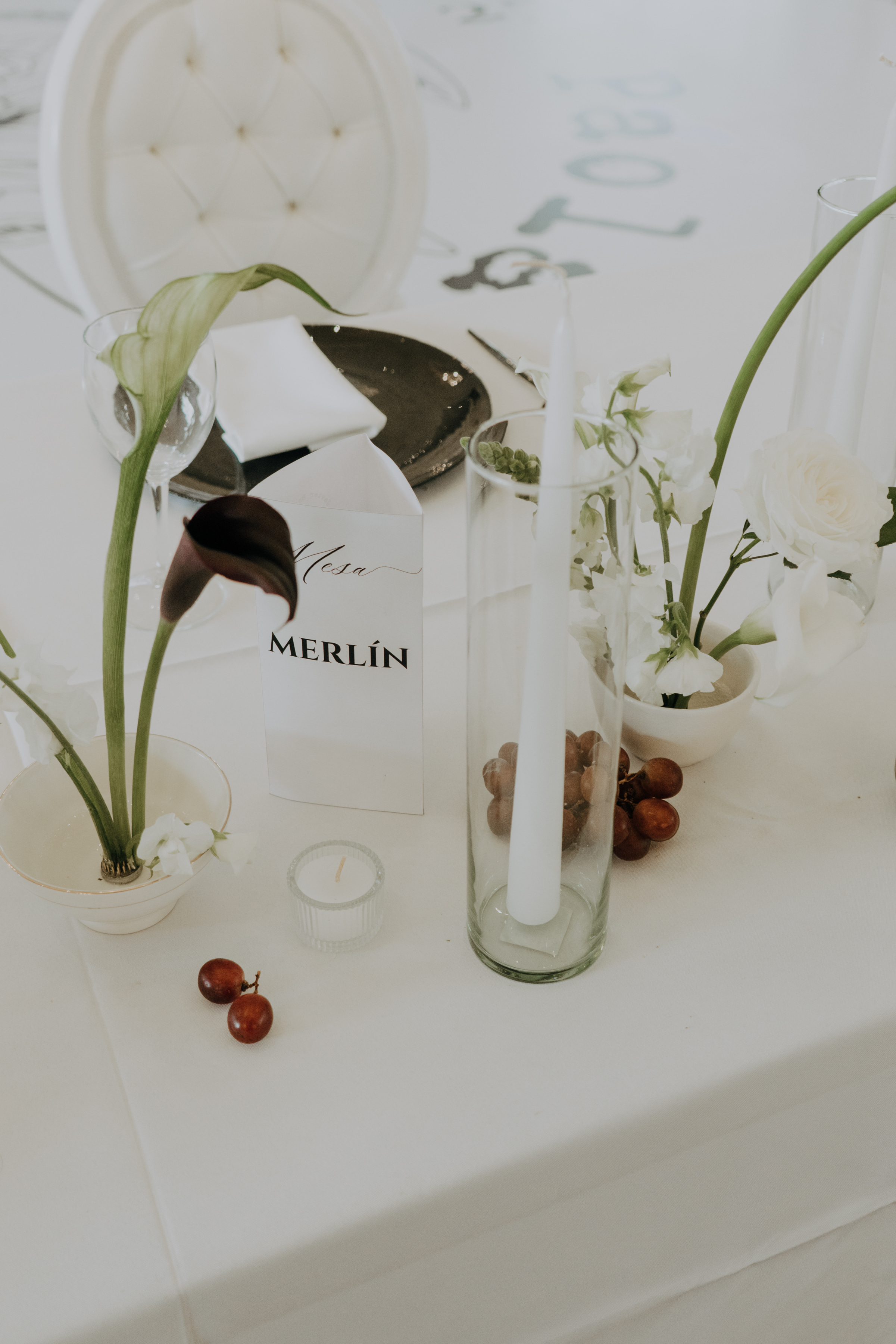 Javier & Paola — foto 34