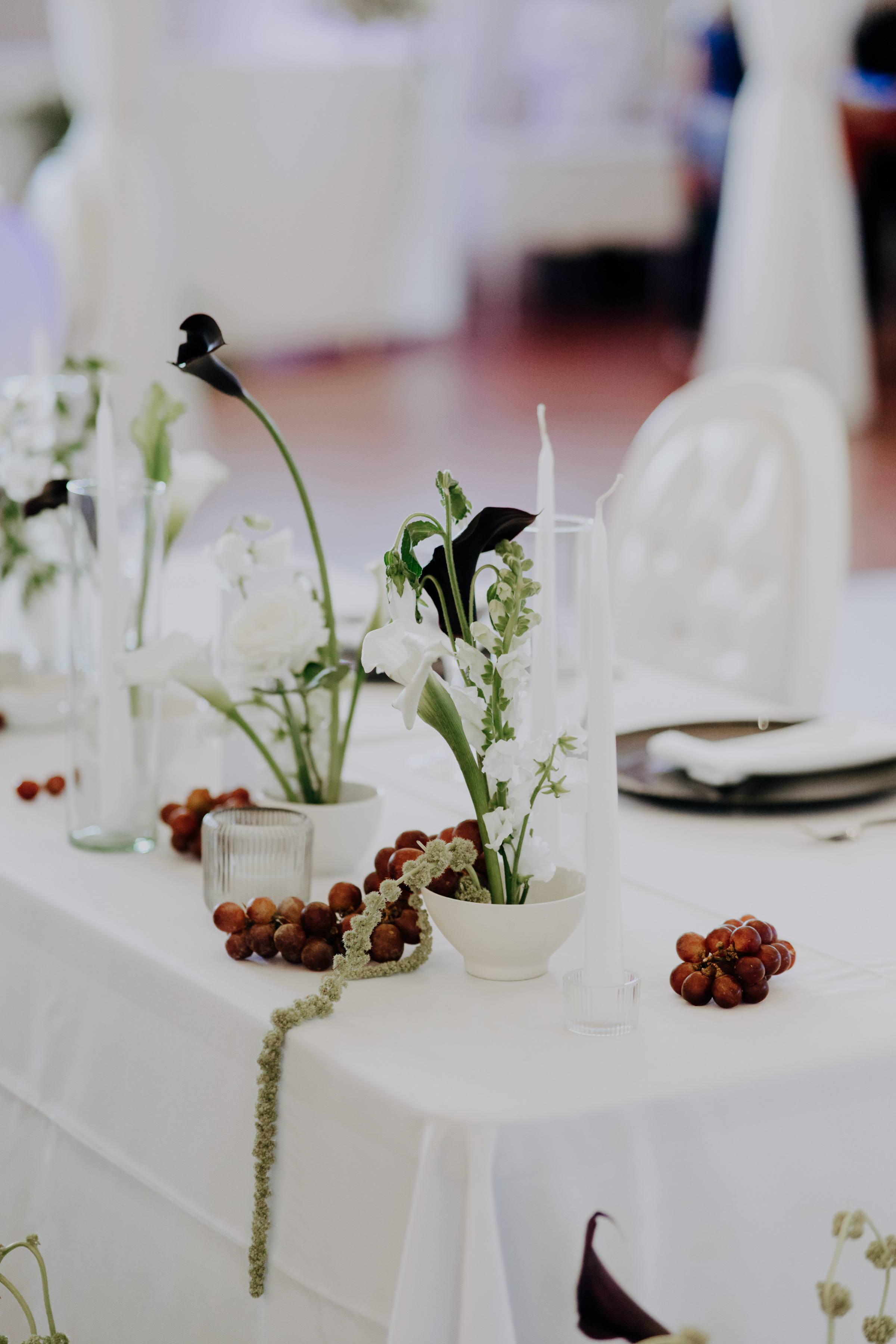 Javier & Paola — foto 38