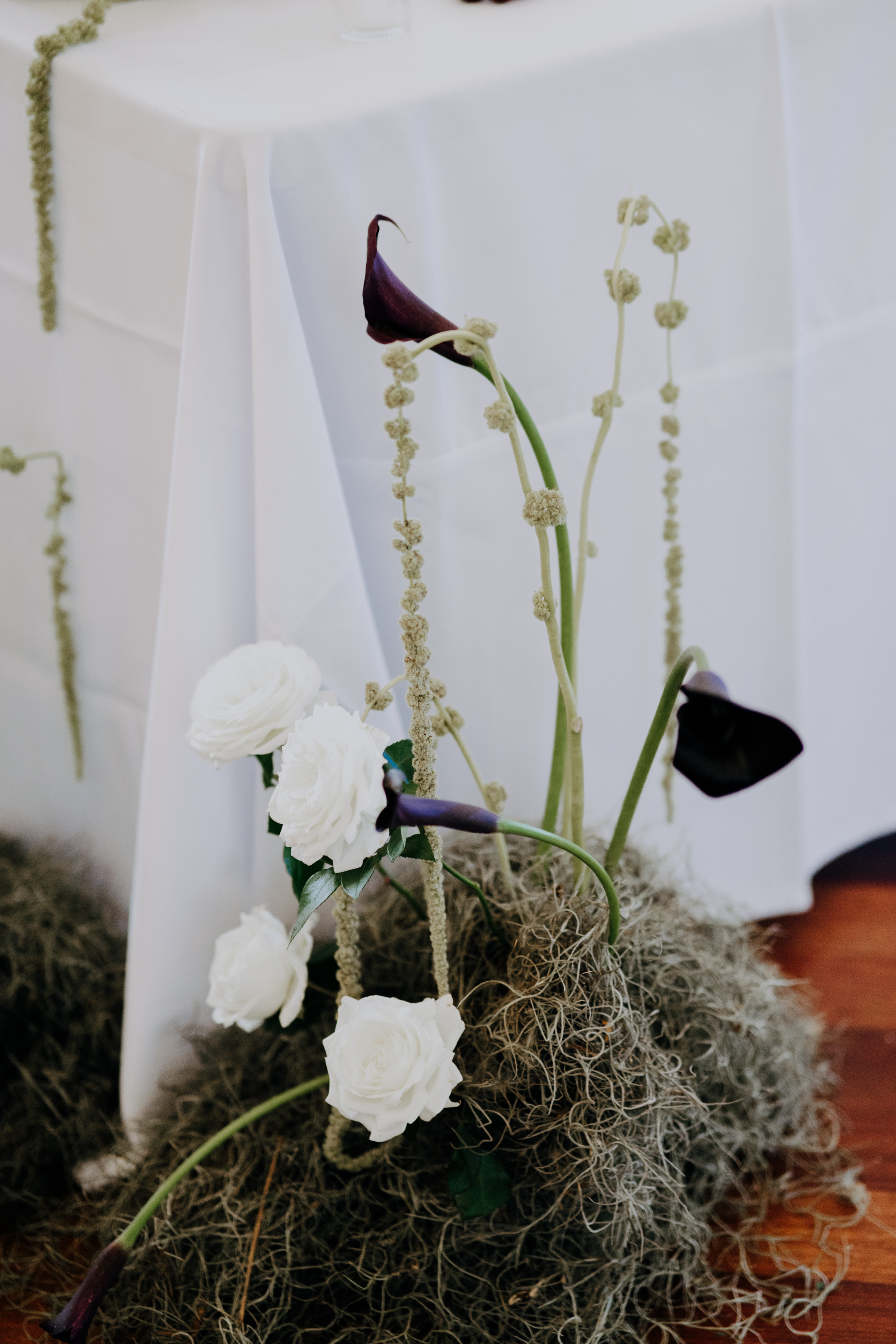 Javier & Paola — foto 39