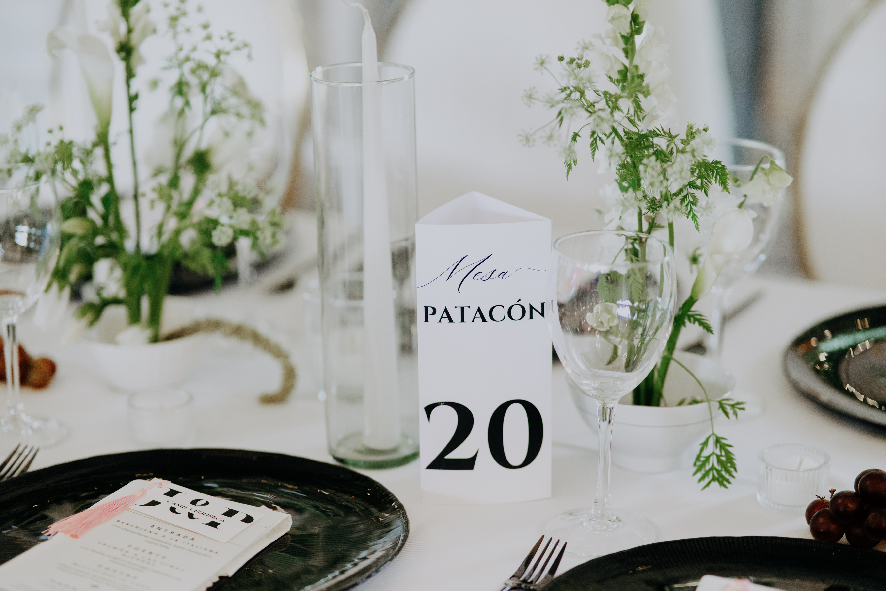 Javier & Paola — foto 41