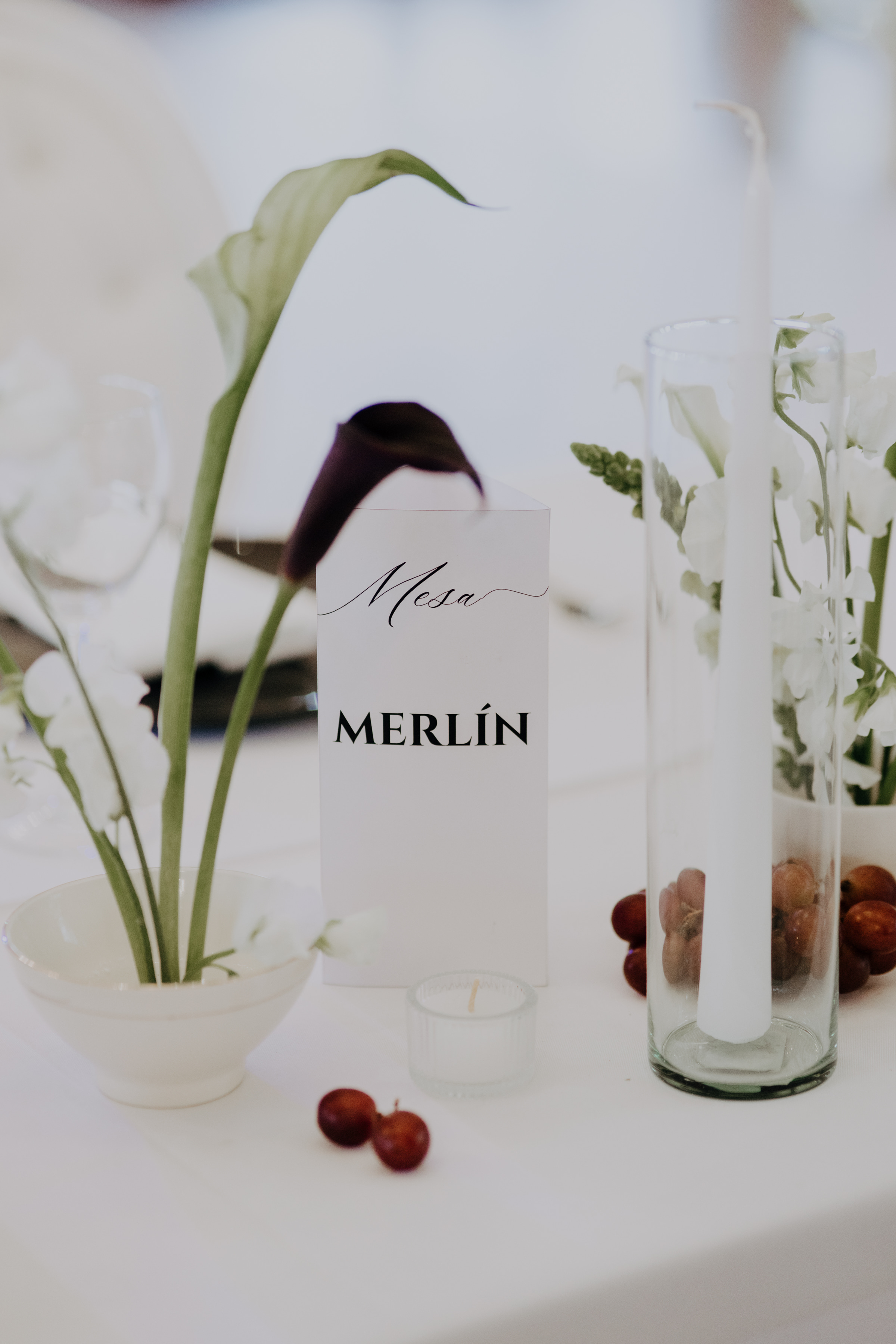 Javier & Paola — foto 58