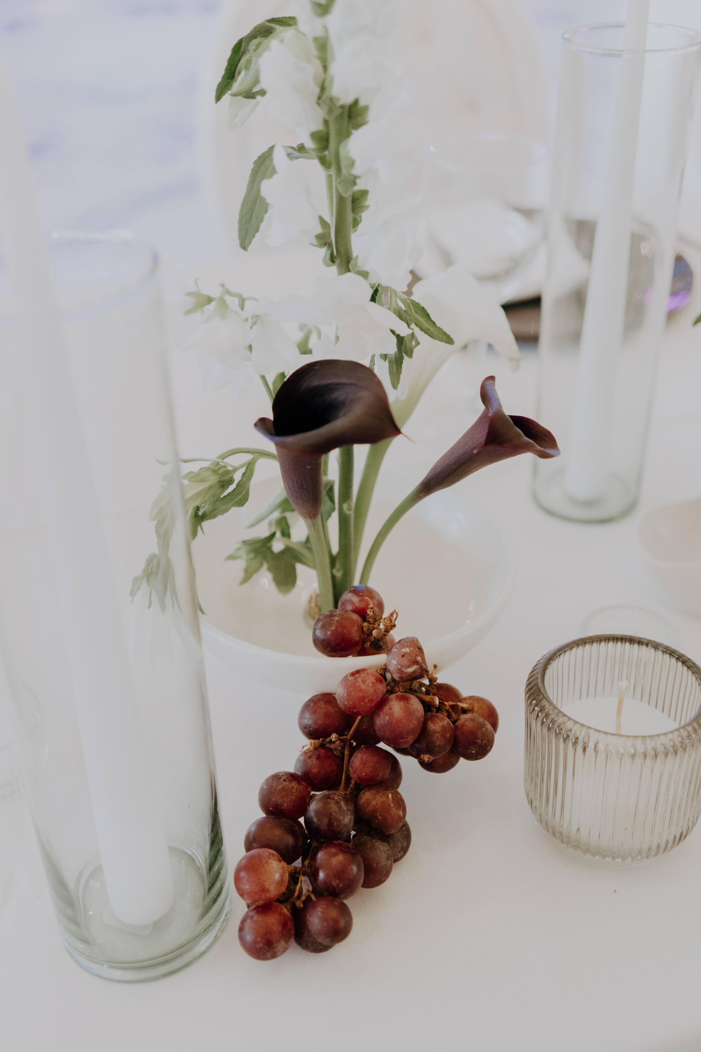 Javier & Paola — foto 59