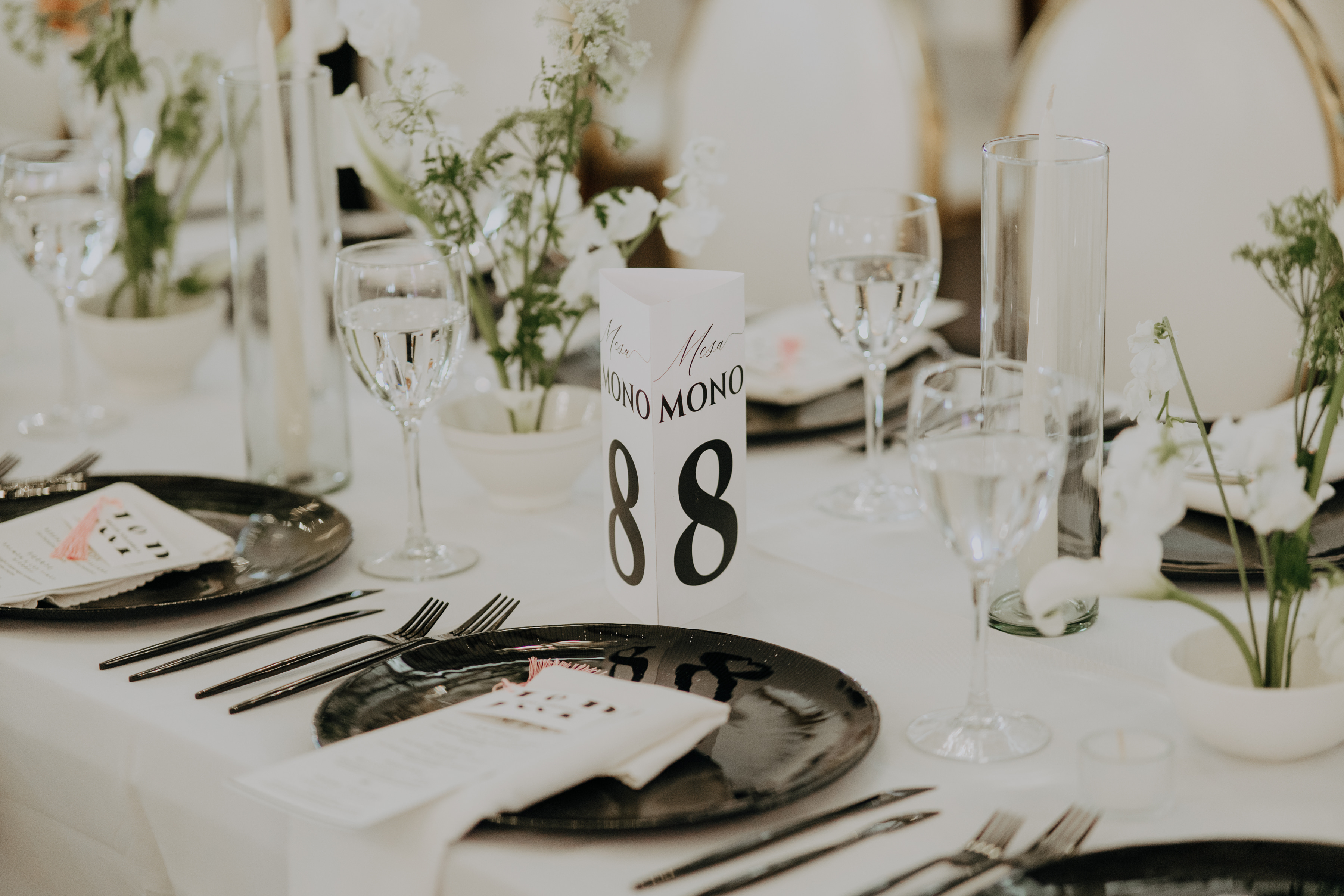 Javier & Paola — foto 62