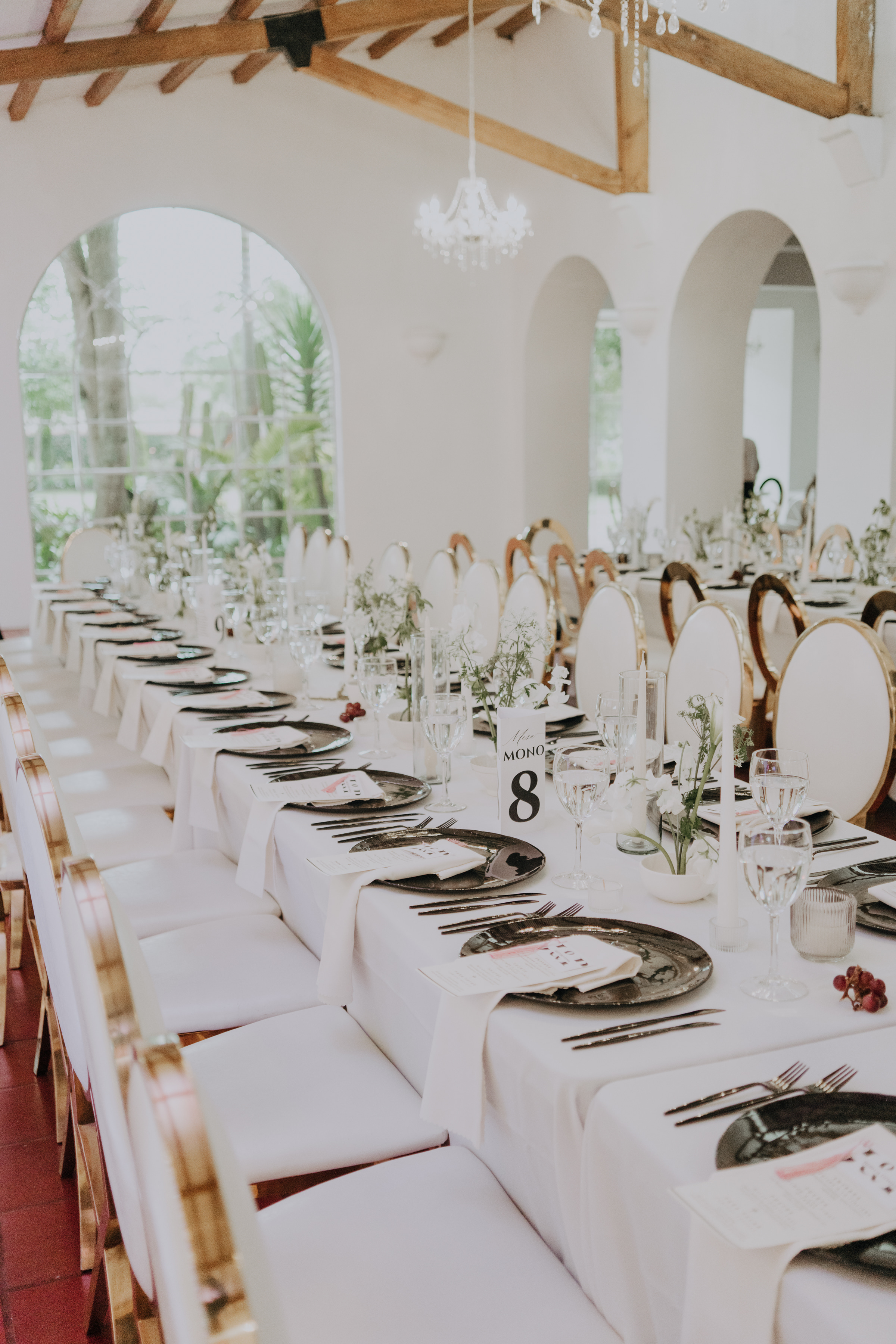 Javier & Paola — foto 63