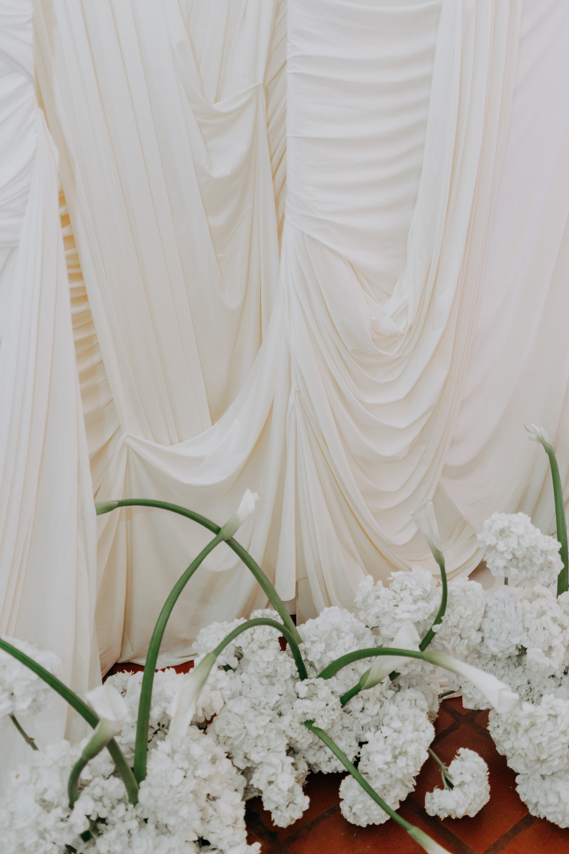 Javier & Paola — foto 637