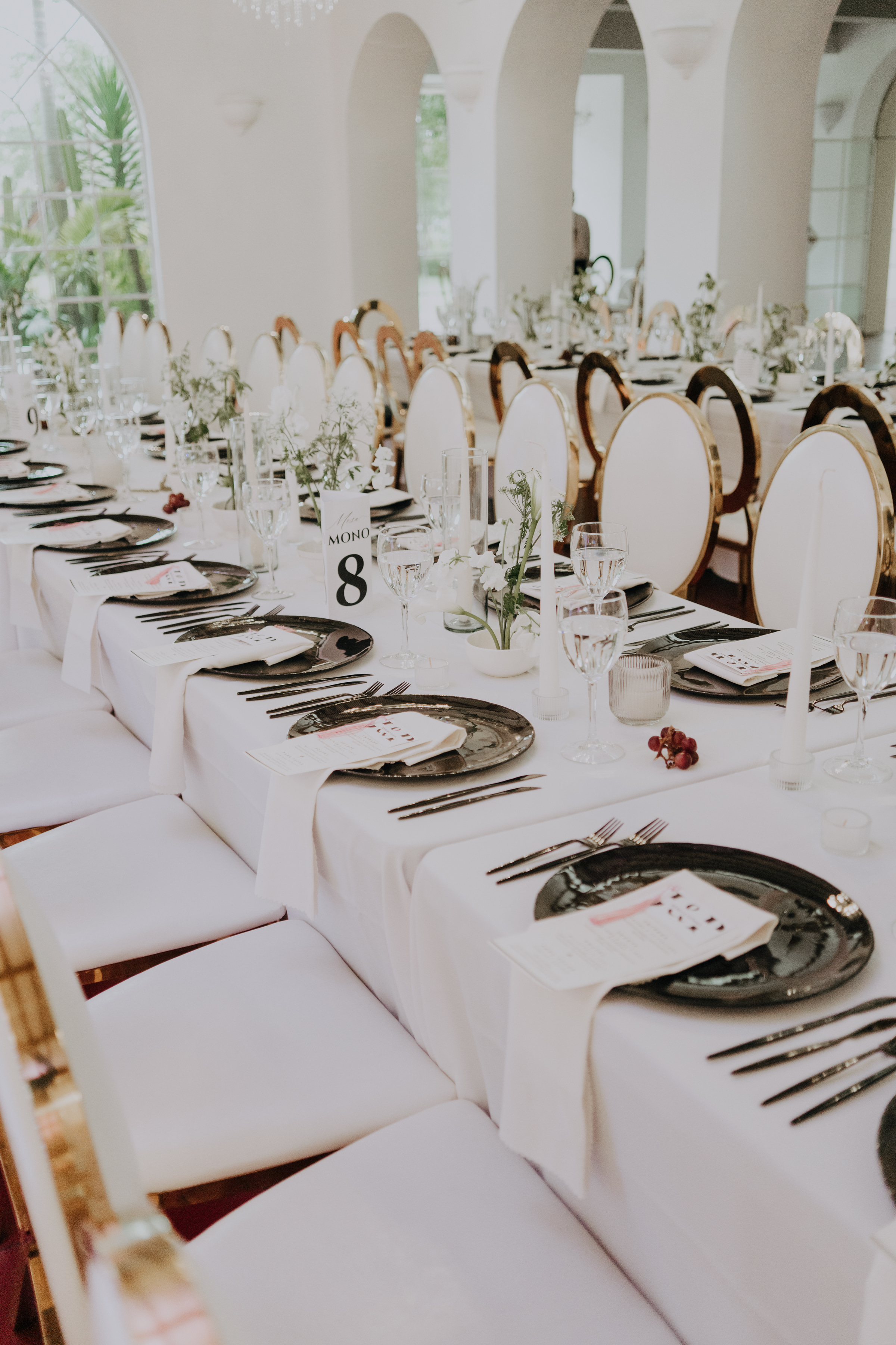 Javier & Paola — foto 64