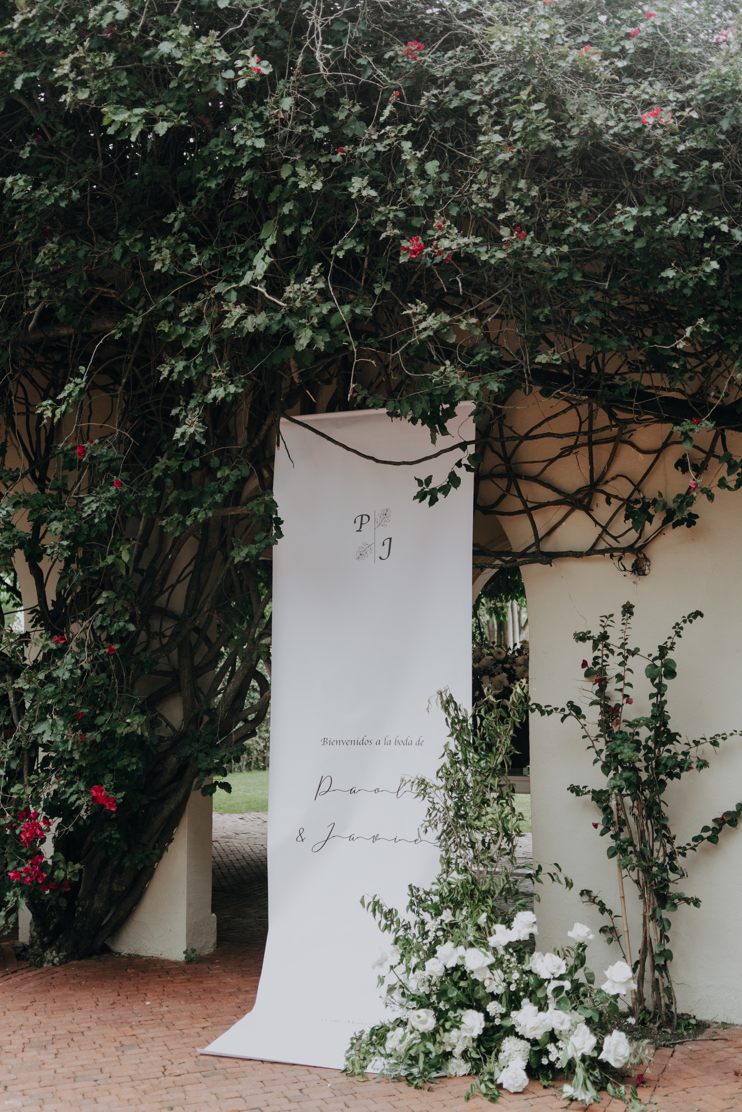 Javier & Paola — foto 89