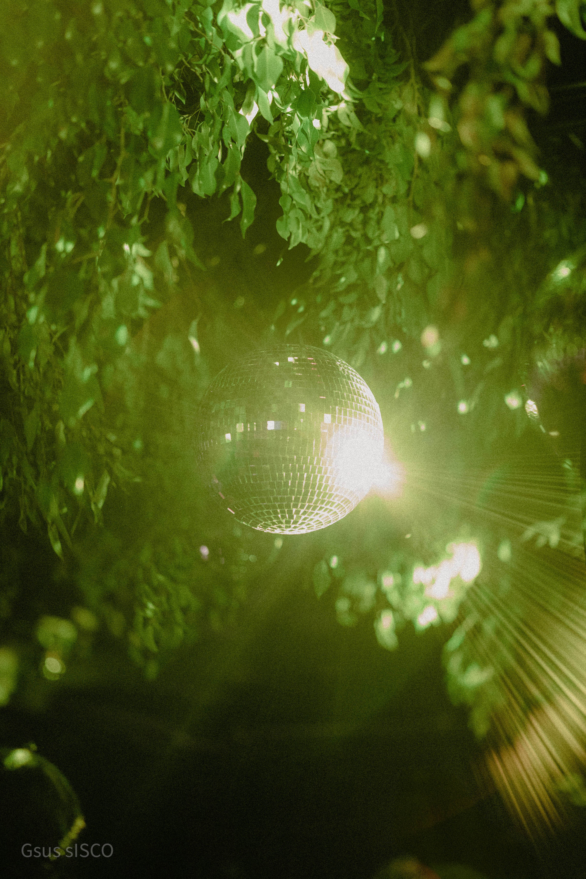 Vista panorámica editorial de la boda Aesthetic Bloom